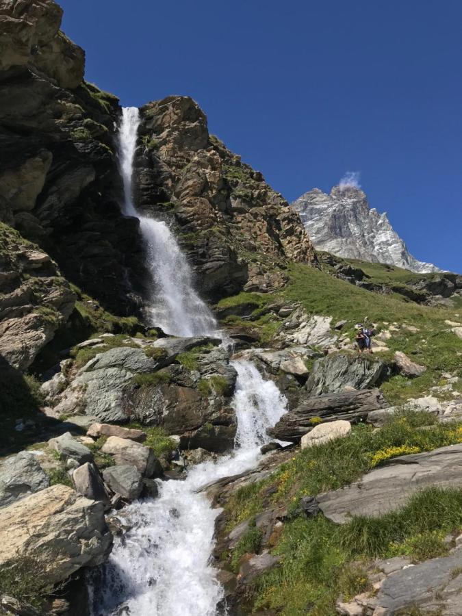 Chat Des Neiges - Cervinia Breuil-Cervinia Eksteriør billede